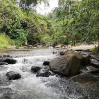 Suria Rimba Chalet 