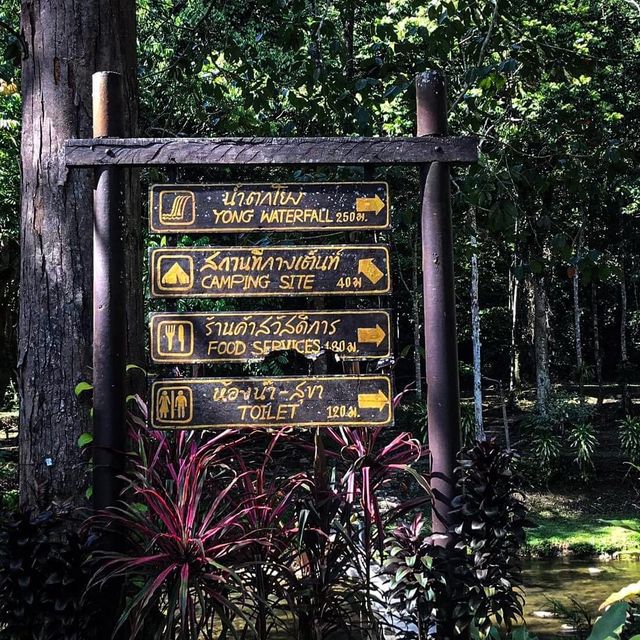 น้ำตกโยง อ.ทุ่งสง นครศรีธรรมราช 
