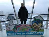 มาชิลชมวิวสวนมุมสูงจาก Goryokaku Tower