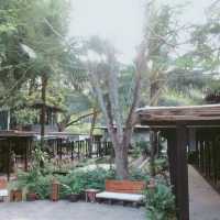 秘境 蘇美島 渡假村 Nikki Beach Resort & Spa Koh Samui and Beach Club