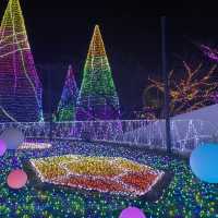 🎄✨イルミデートの大定番【よみうりランド】☃️