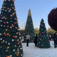 커다란 크리스마스 트리와 함께 행복한 연말을 🎄