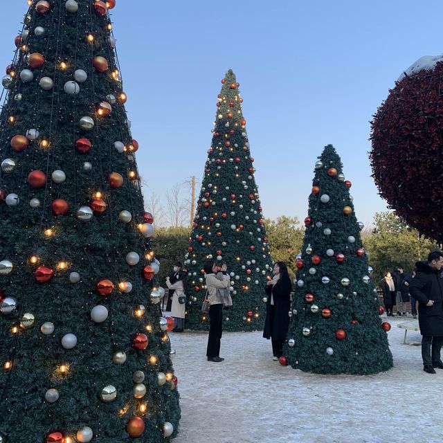 커다란 크리스마스 트리와 함께 행복한 연말을 🎄