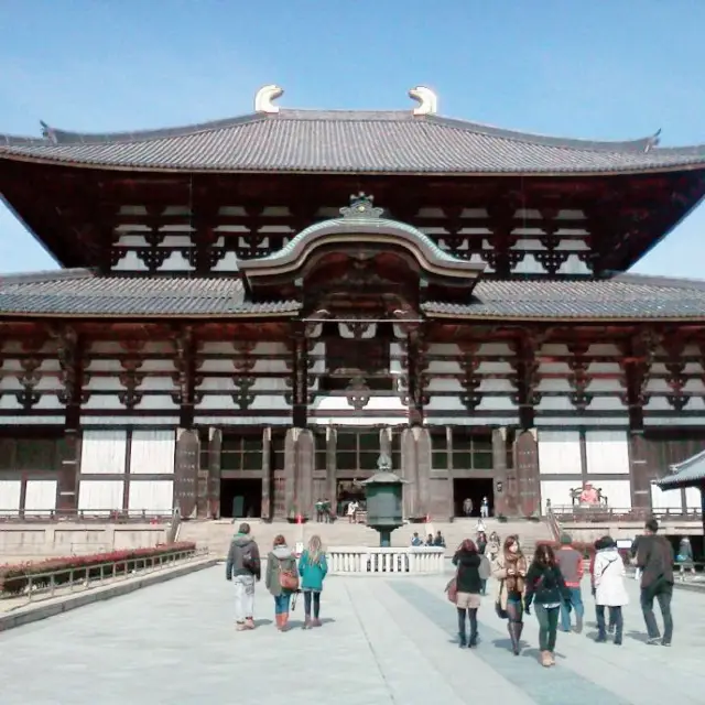 🇯🇵วัดโทไดจิ (Todaiji) เมืองนารา🇯🇵