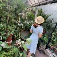 大埔林村隱世打卡植物園Botanic Union