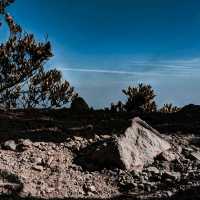 Hiking Mount Gede Pangrango