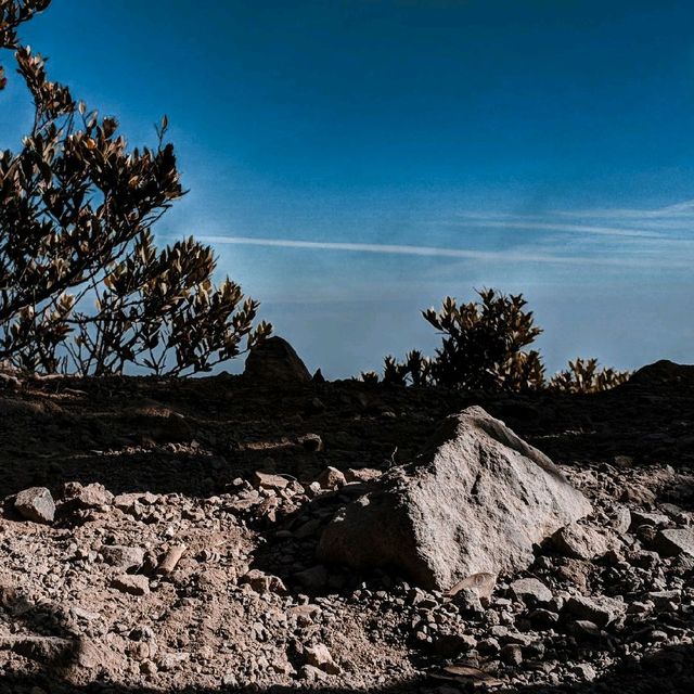 Hiking Mount Gede Pangrango