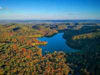 Radnor Lake