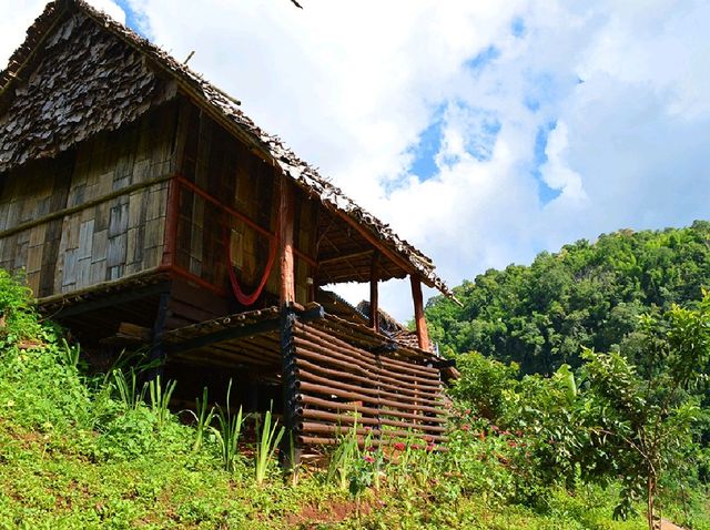 ชมวิว พักผ่อน ในบรรยากาศนาข้าวเขียวขจี ชมวิว พักผ่อน ในบรรยากาศนาข้าวเขียวขจี