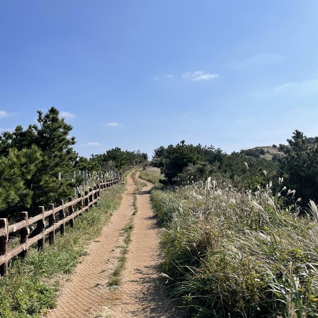 억세가 이쁜 우도봉!!