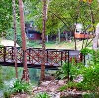 ธรรมชาติบำบัด