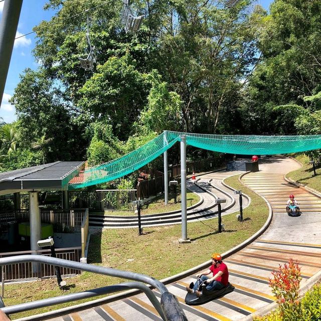 Date at Skyline Luge!