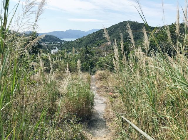 大欖郊野公園