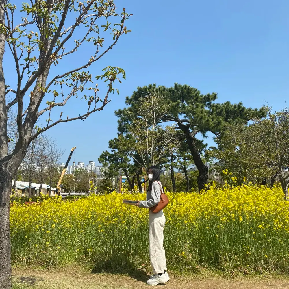 부산의 봄