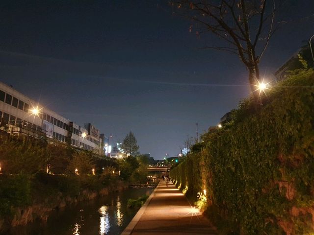 밤이 더 아름다운 곳. 청계천