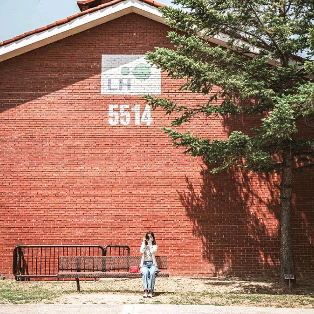 서울 한복판에서 떠나는 미국 여행 🇺🇸 