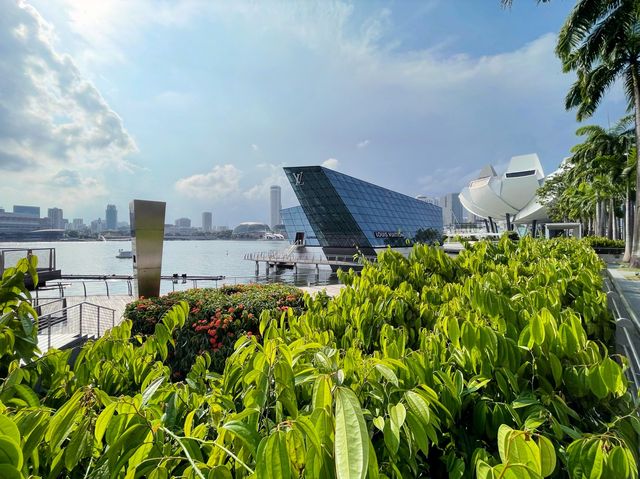 Greenery by the bay