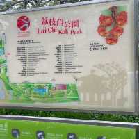 荔枝角公園