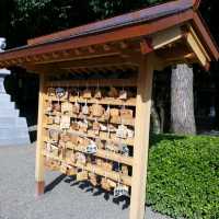 長壽之水@熊本出水神社⛩️