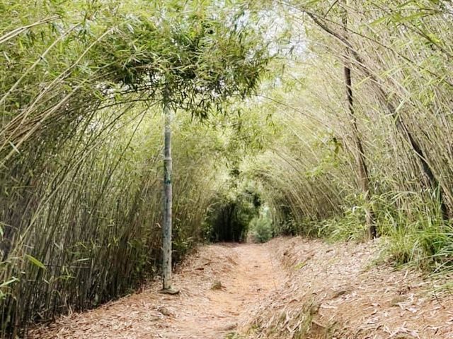 北港古道
