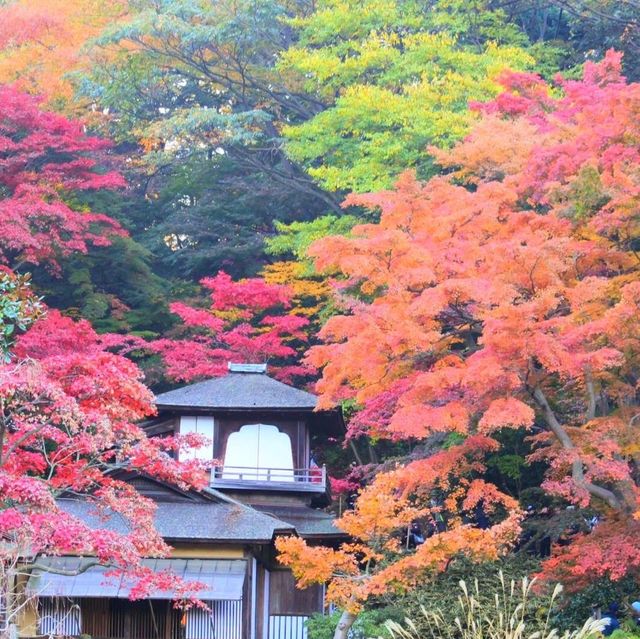 神奈川県にある三渓園！😆