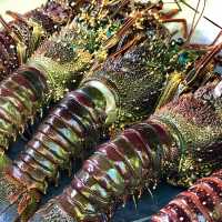Samar na sa saya in SAMAr!!