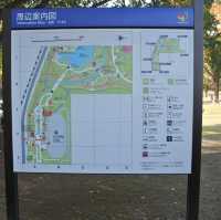 国営昭和記念公園⛲️