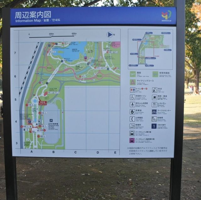 国営昭和記念公園⛲️