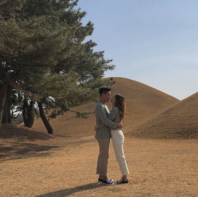 경주 대릉원🌳