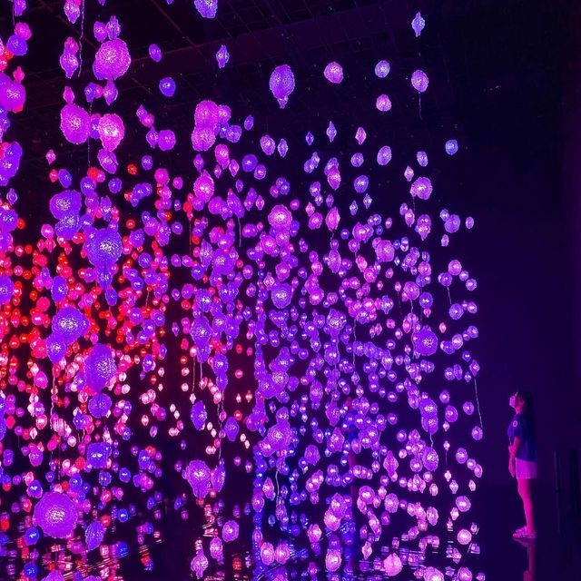 香港team lab ✨𝘽𝙚𝙝𝙞𝙣𝙙 𝙔𝙤𝙪𝙧 𝙀𝙮𝙚𝙡𝙞𝙙 👁🎥