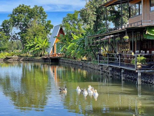 🏡บ้านเตอร์รีสอร์ท ในเมืองบุรีรัมย์