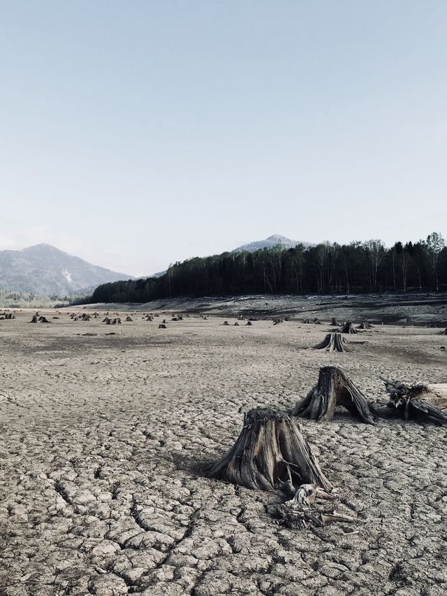 北海道＊糠平湖 タウシュベツ川橋梁