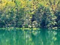 美しき水鏡！御射鹿池