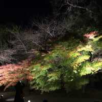 【京都府】東寺で平安時代に思いを馳せる