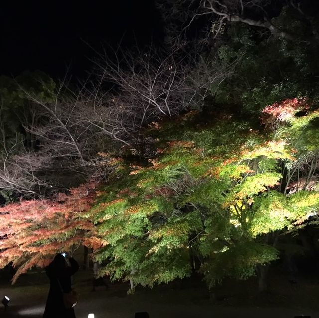 【京都府】東寺で平安時代に思いを馳せる