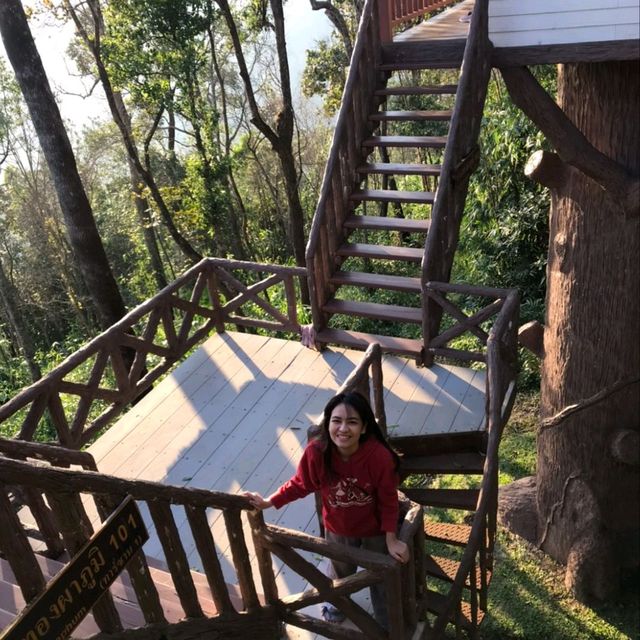 บ้านต้นไม้ อุทยานแห่งชาติทองผาภูมิ
