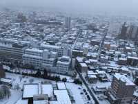 มาชิลชมวิวสวนมุมสูงจาก Goryokaku Tower