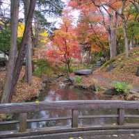 岩手県！盛岡城跡公園で紅葉狩り