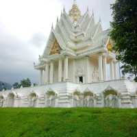 ช้างเผือกมักจะอยุ่ในป่า.มาเป็นโขลง