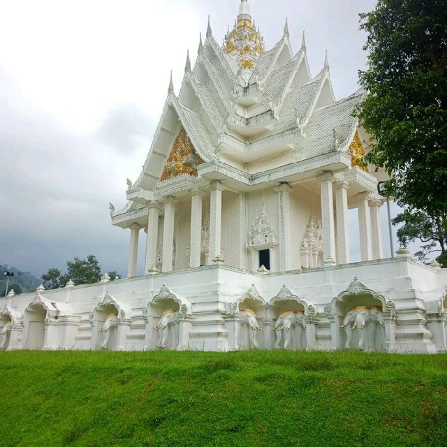 ช้างเผือกมักจะอยุ่ในป่า.มาเป็นโขลง