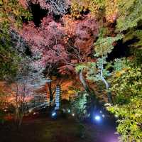 嵐山夜楓@寶嚴院