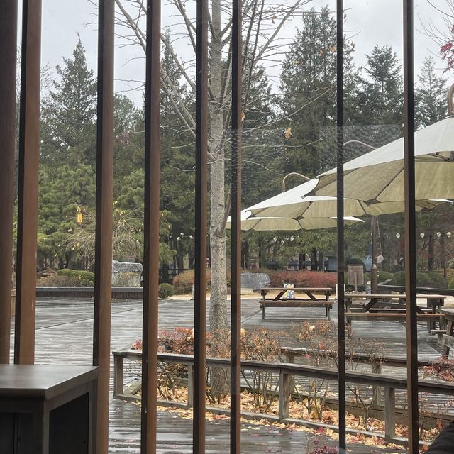 NAMI ISLAND BOOK CAFE 📍