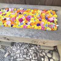 花手水が美しすぎる🌼