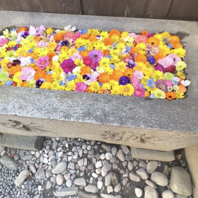 花手水が美しすぎる🌼