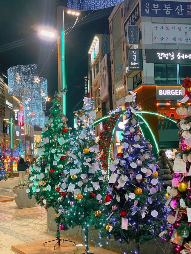 1월까지 만날 수 있는 대왕트리✨