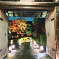 【京都】特別拝観の見応えはさすが