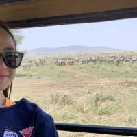 Safari Day at Serengeti