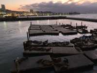 Pier 39 - San Fransisco, California 