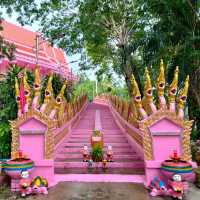 วัดเขาทุเรียน วัดสีชมพู นครนายก

