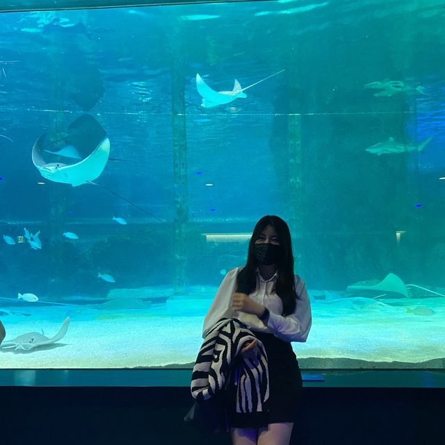 코엑스 아쿠아리움 포토존 살펴보고 가세요~!
